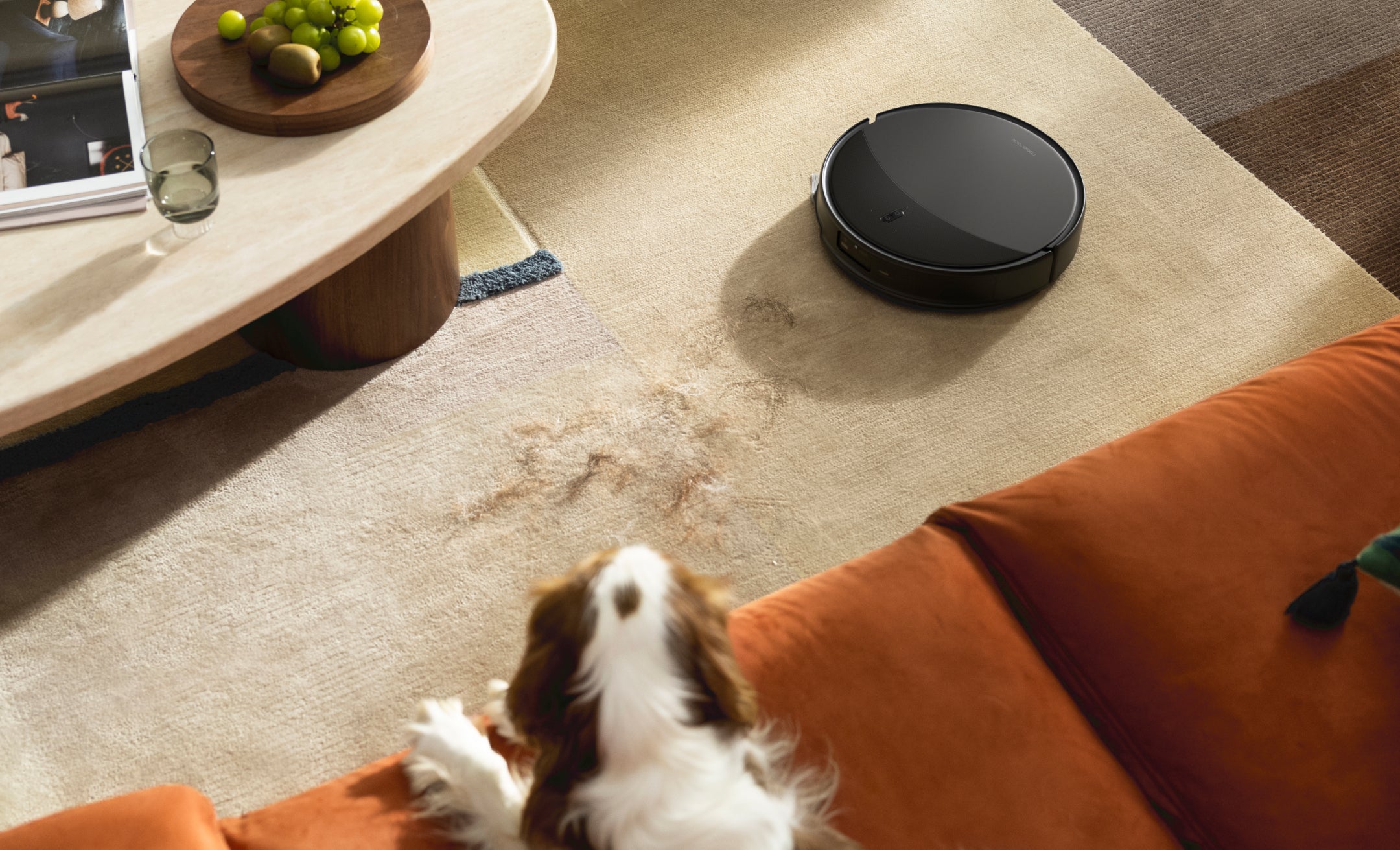 Roborock Saros 20X – cleaning beside a rug