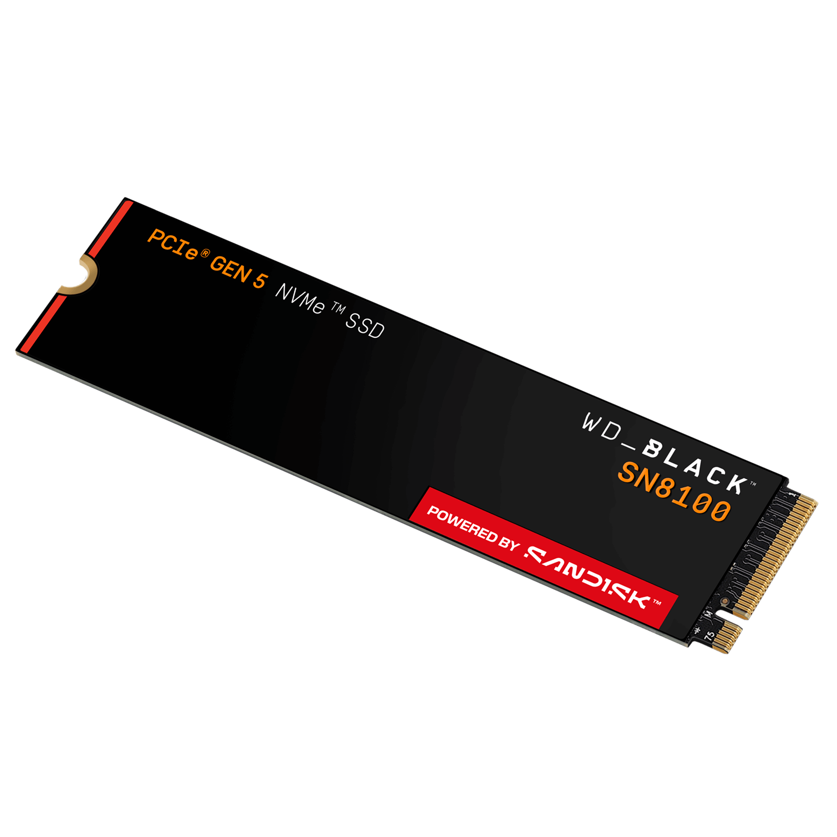 WD_BLACK SN8100 2TB without heatsink – angled view
